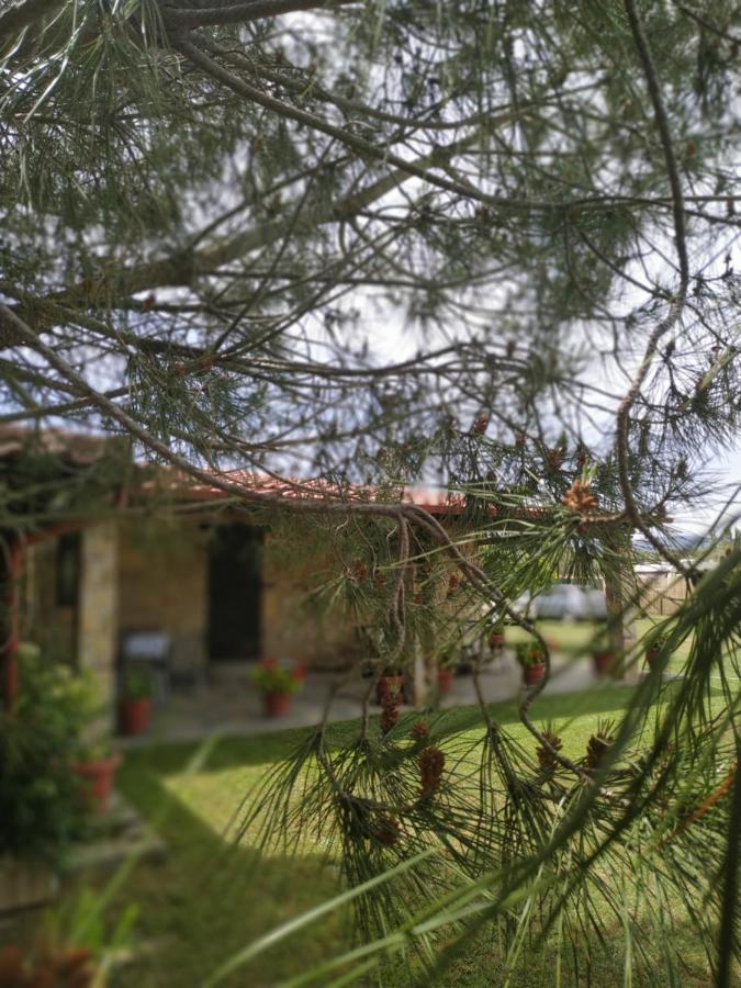 Konaki Guesthouse Ormos Panagias Luaran gambar